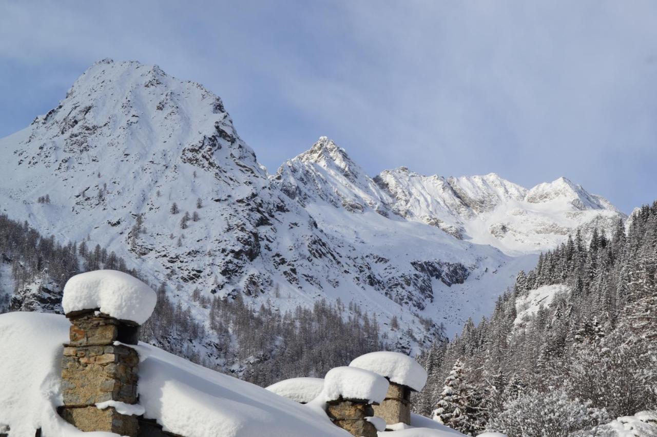 La Mura' - Il Vostro Posto Nel Gran Paradiso Ronco Canavese Dış mekan fotoğraf