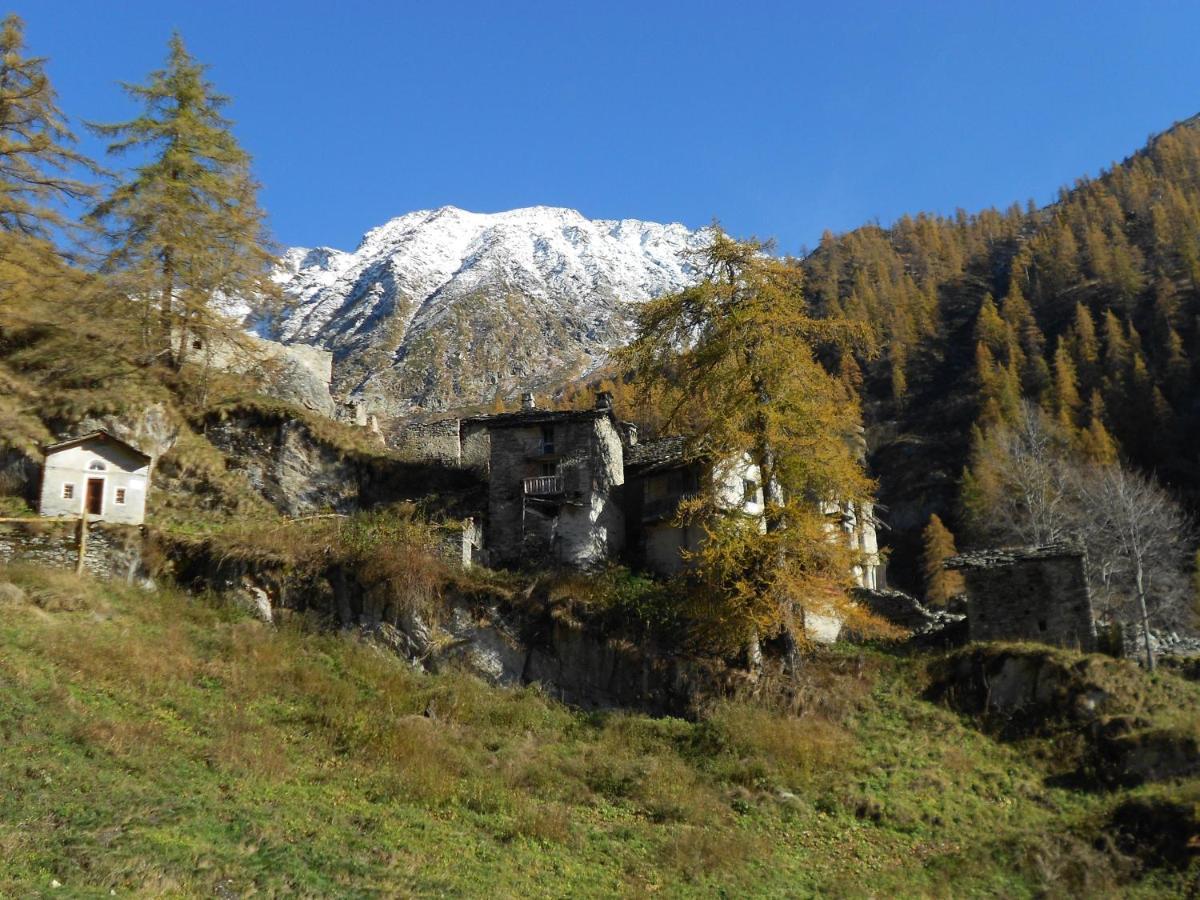 La Mura' - Il Vostro Posto Nel Gran Paradiso Ronco Canavese Dış mekan fotoğraf