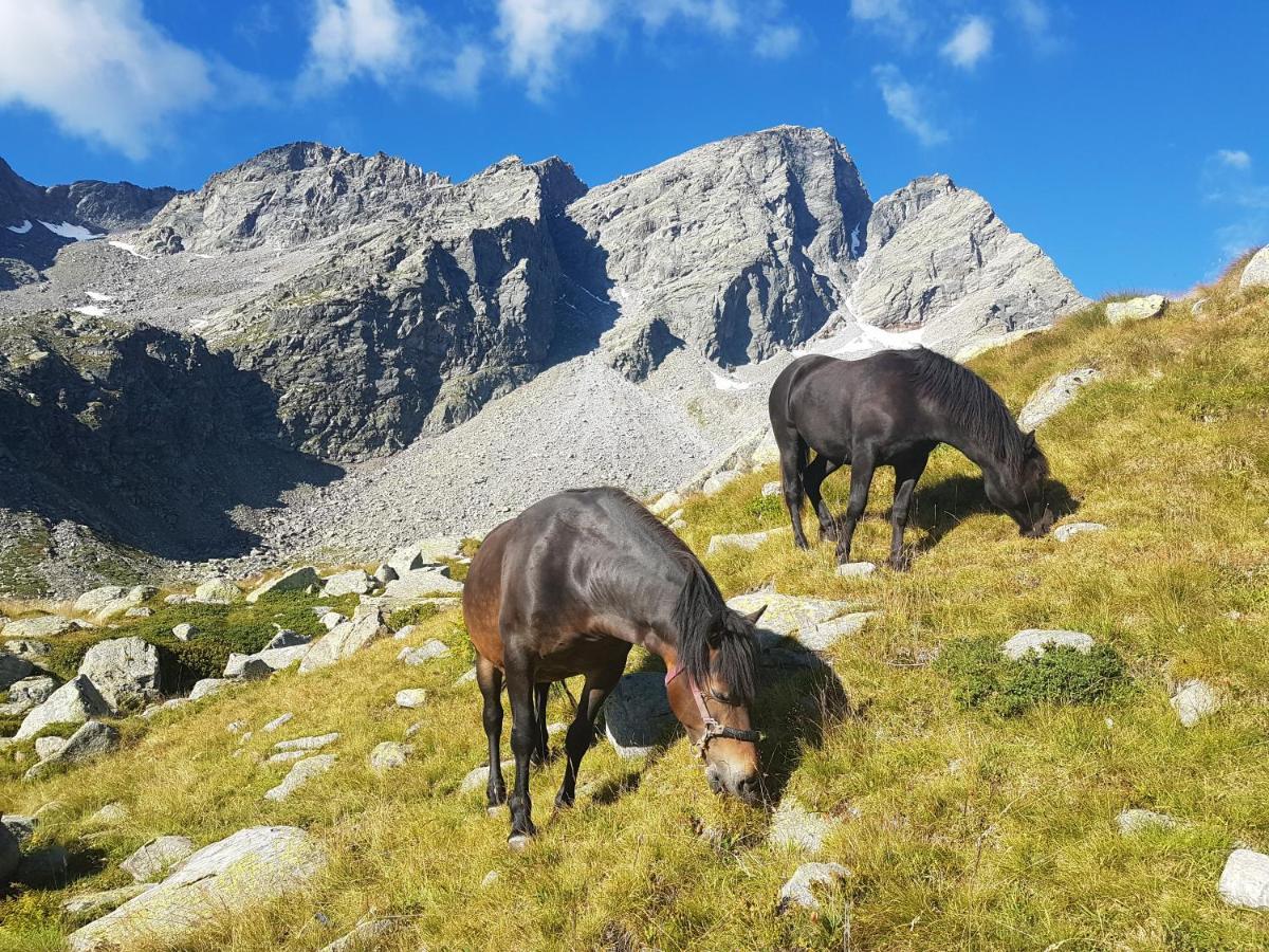 La Mura' - Il Vostro Posto Nel Gran Paradiso Ronco Canavese Dış mekan fotoğraf