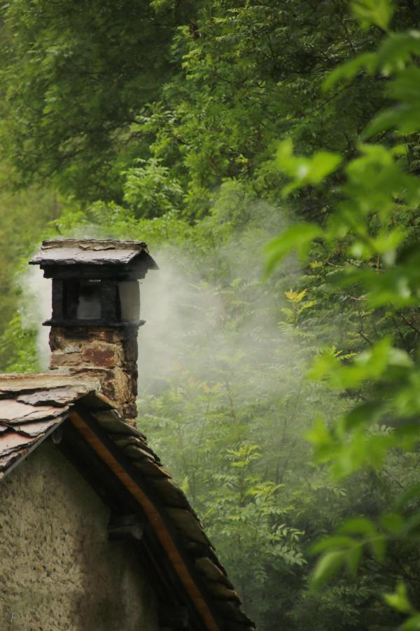 La Mura' - Il Vostro Posto Nel Gran Paradiso Ronco Canavese Dış mekan fotoğraf