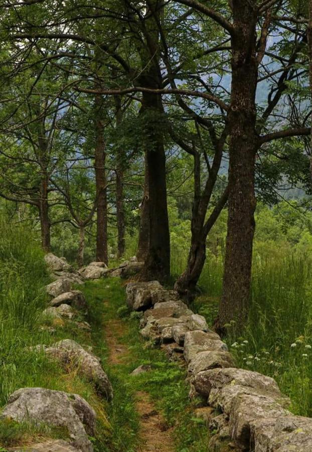 La Mura' - Il Vostro Posto Nel Gran Paradiso Ronco Canavese Dış mekan fotoğraf