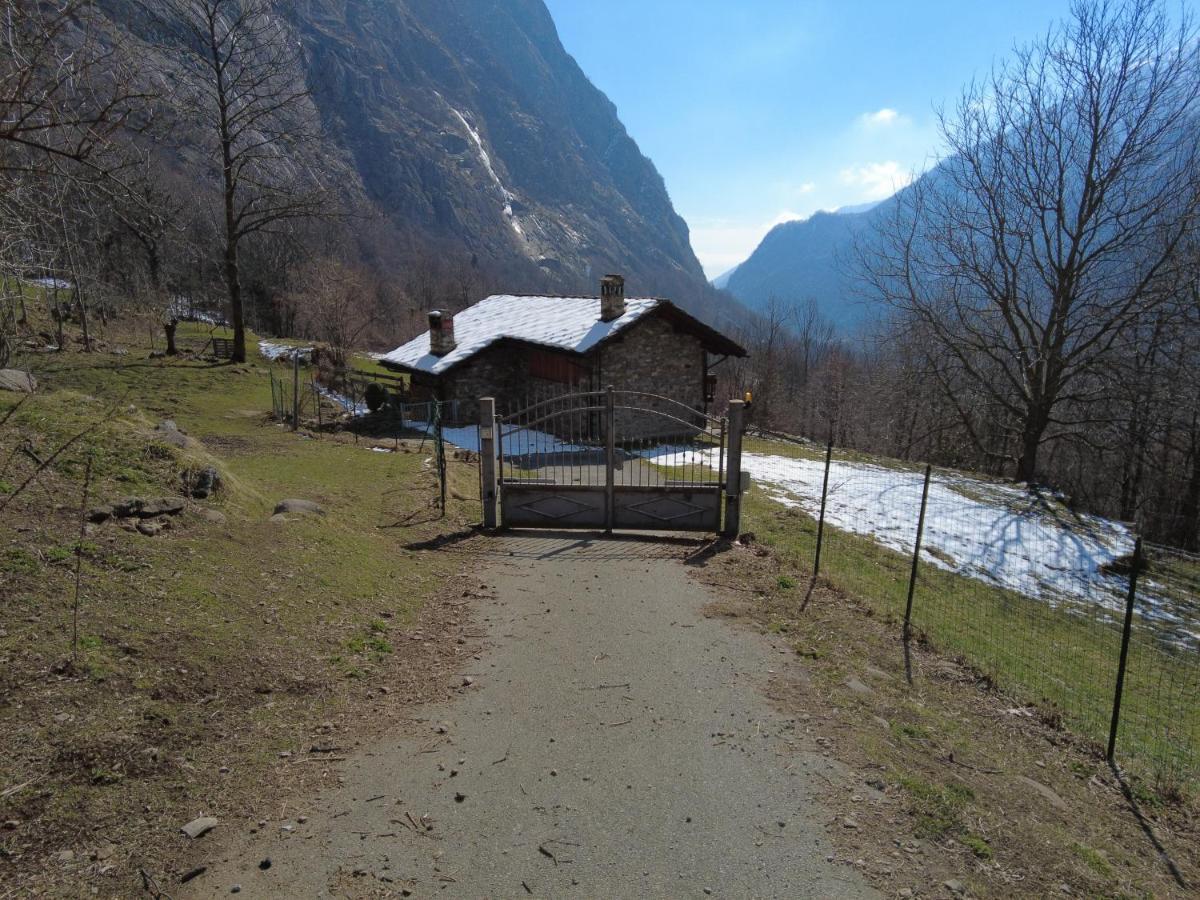 La Mura' - Il Vostro Posto Nel Gran Paradiso Ronco Canavese Dış mekan fotoğraf
