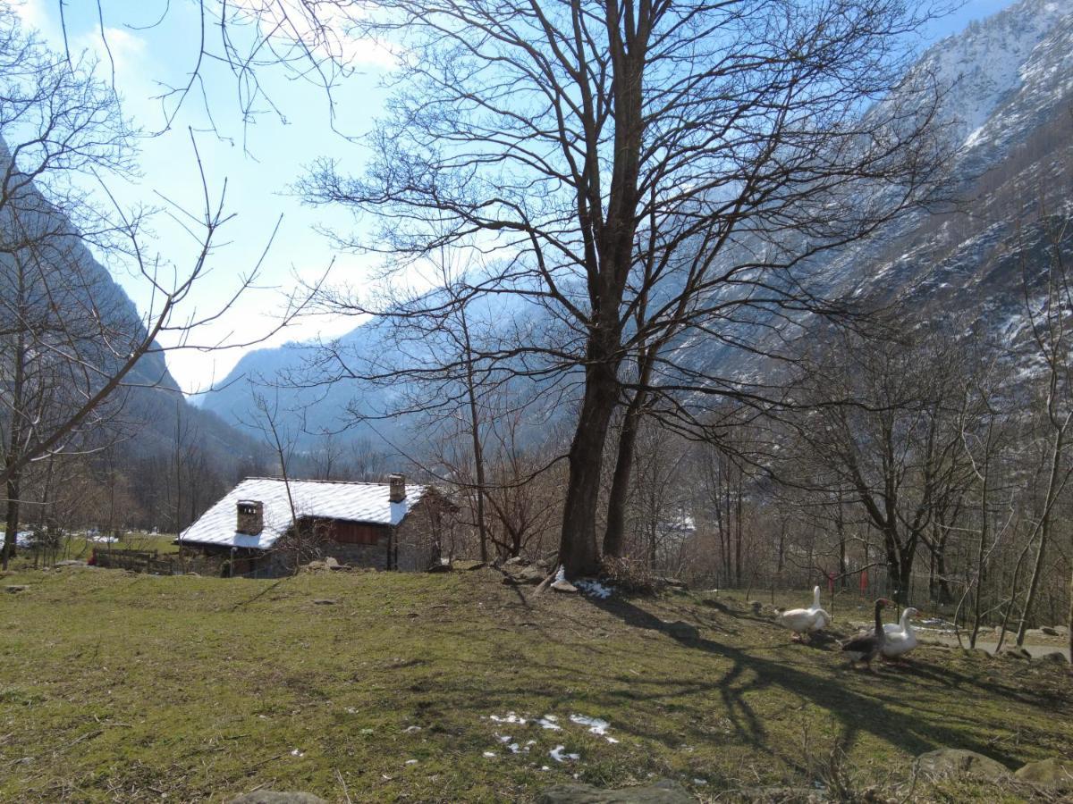 La Mura' - Il Vostro Posto Nel Gran Paradiso Ronco Canavese Dış mekan fotoğraf