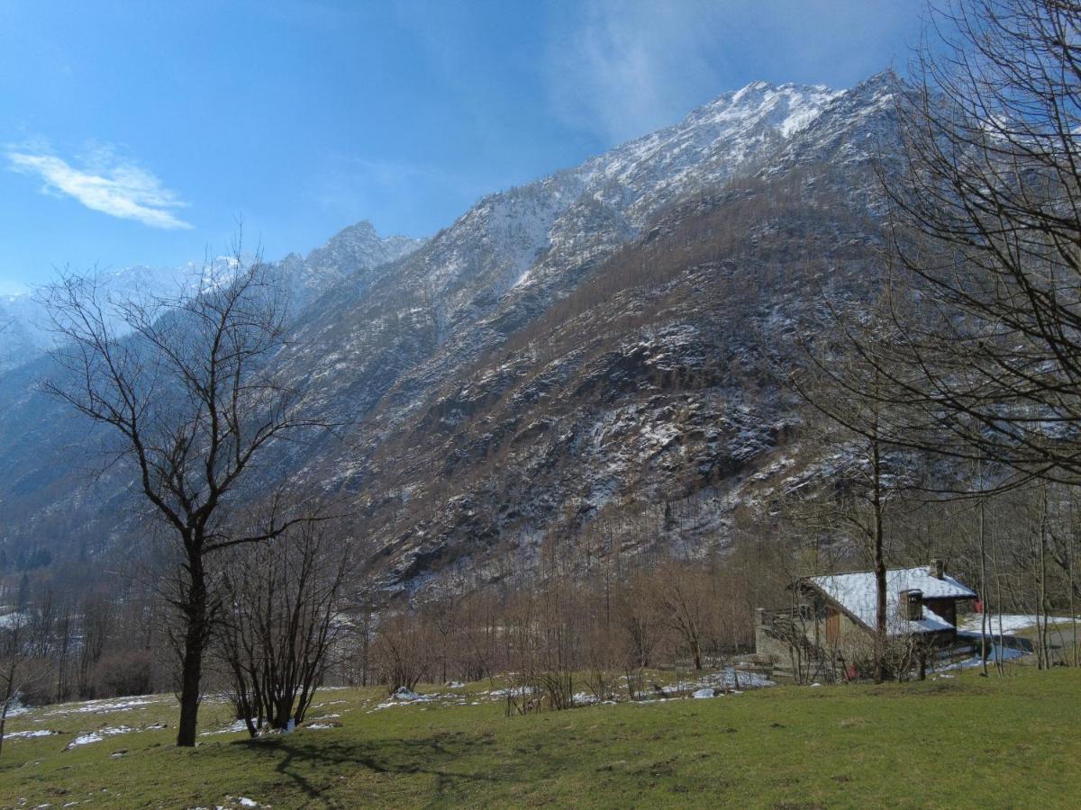 La Mura' - Il Vostro Posto Nel Gran Paradiso Ronco Canavese Dış mekan fotoğraf