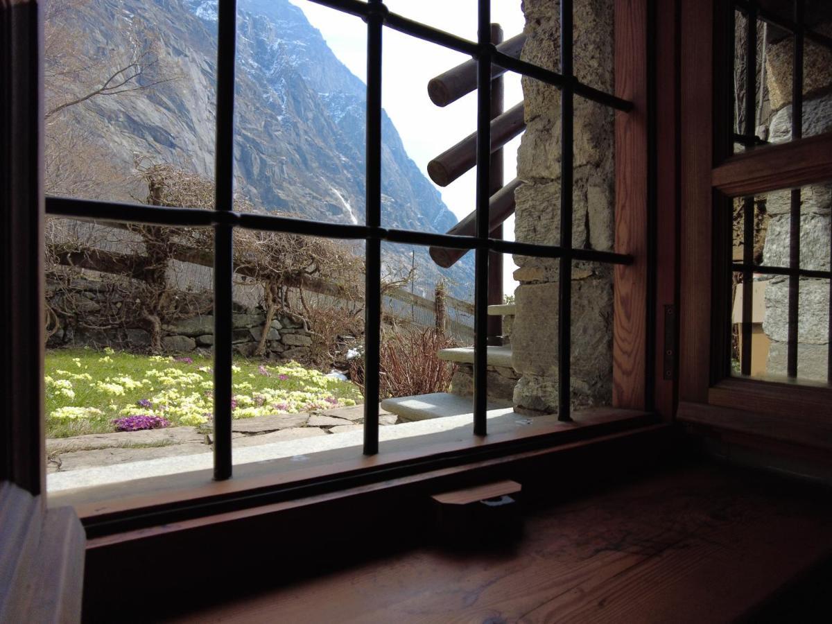 La Mura' - Il Vostro Posto Nel Gran Paradiso Ronco Canavese Dış mekan fotoğraf