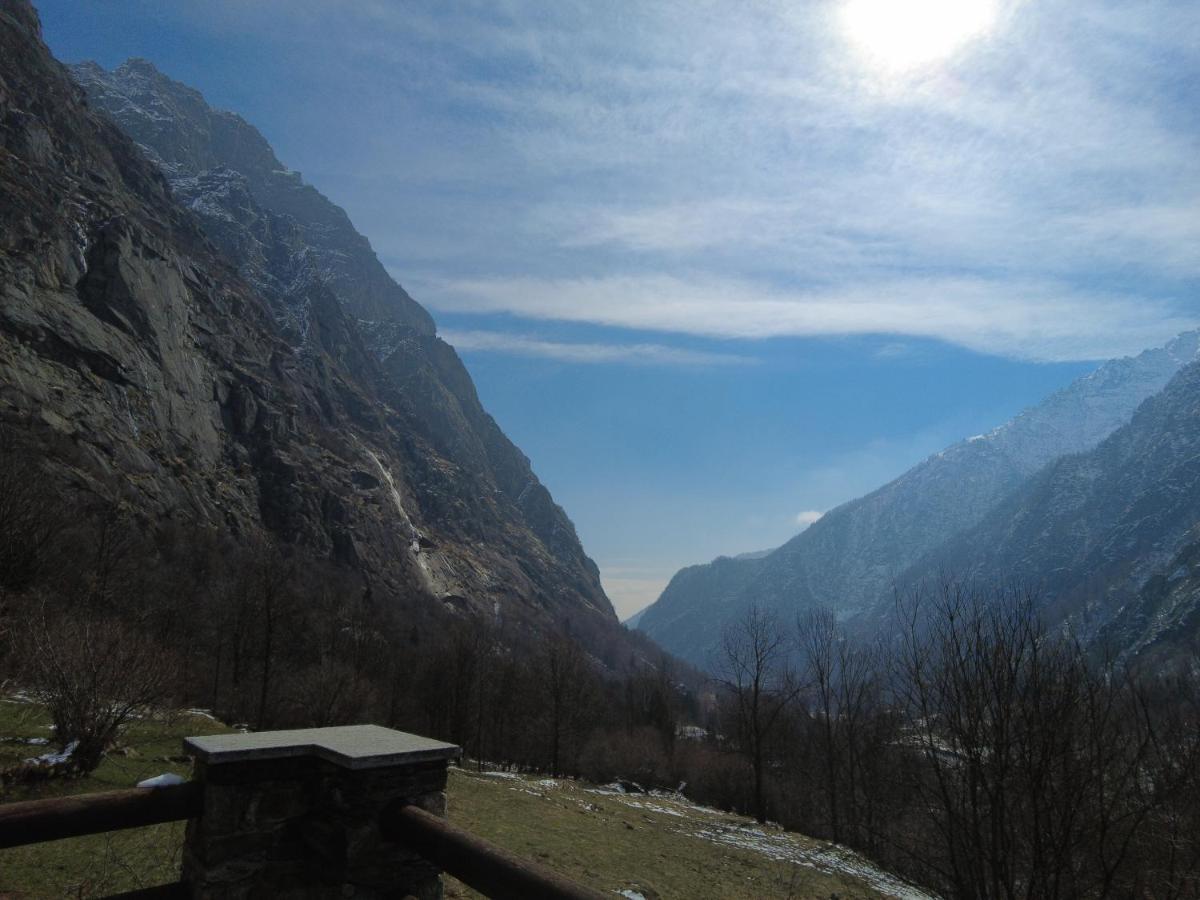 La Mura' - Il Vostro Posto Nel Gran Paradiso Ronco Canavese Dış mekan fotoğraf