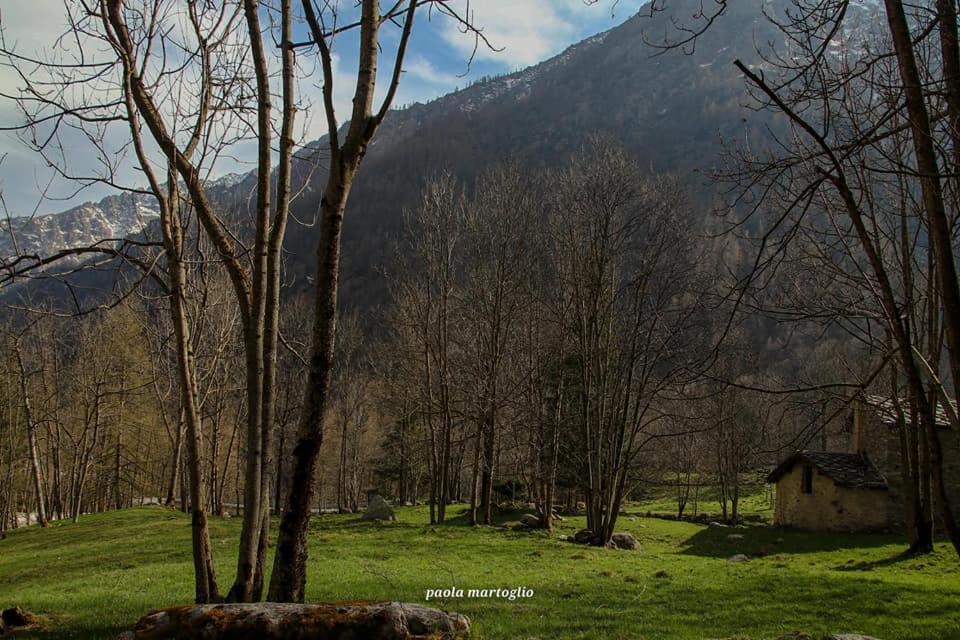 La Mura' - Il Vostro Posto Nel Gran Paradiso Ronco Canavese Dış mekan fotoğraf