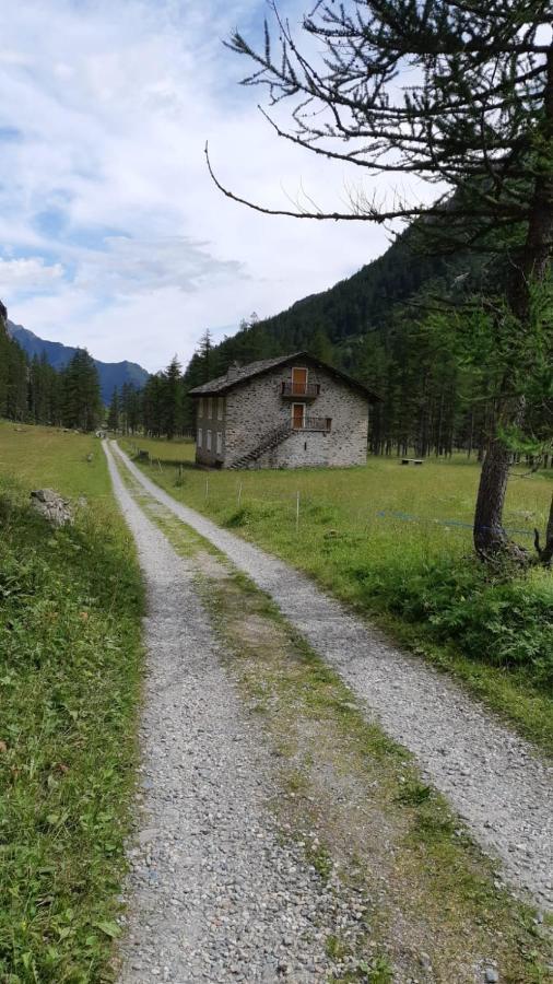 La Mura' - Il Vostro Posto Nel Gran Paradiso Ronco Canavese Dış mekan fotoğraf