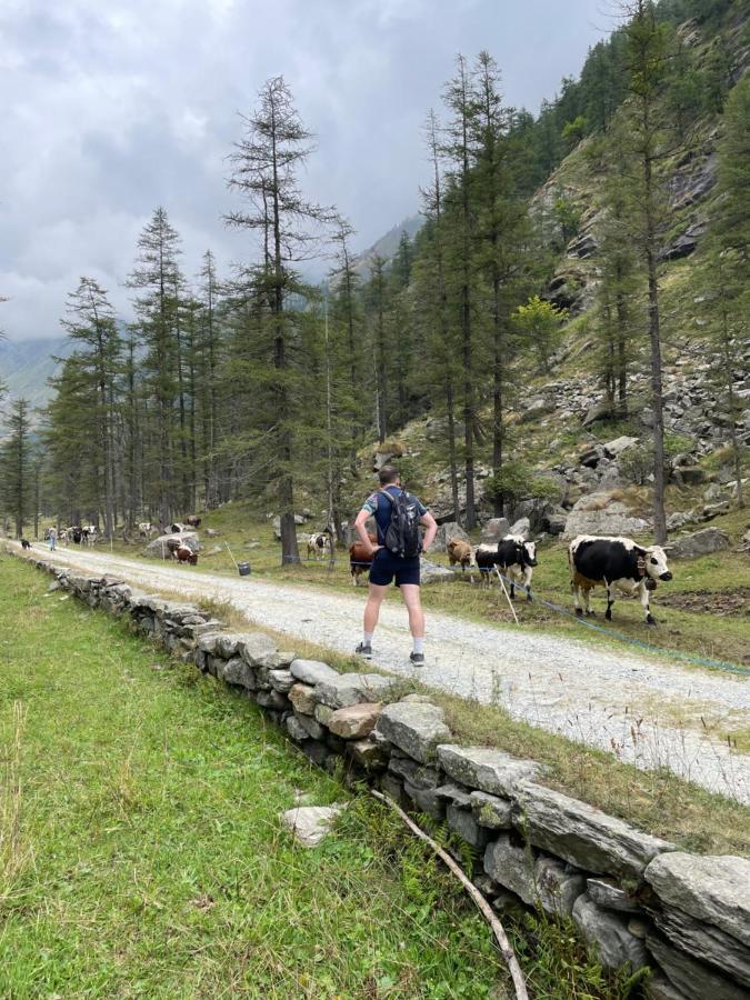 La Mura' - Il Vostro Posto Nel Gran Paradiso Ronco Canavese Dış mekan fotoğraf